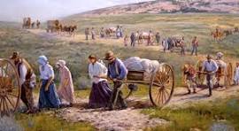 Find your pioneer!